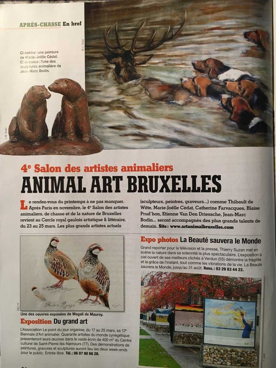 Animal Art Bruxelles