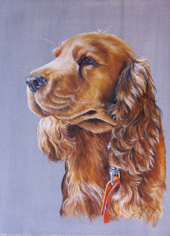 cocker