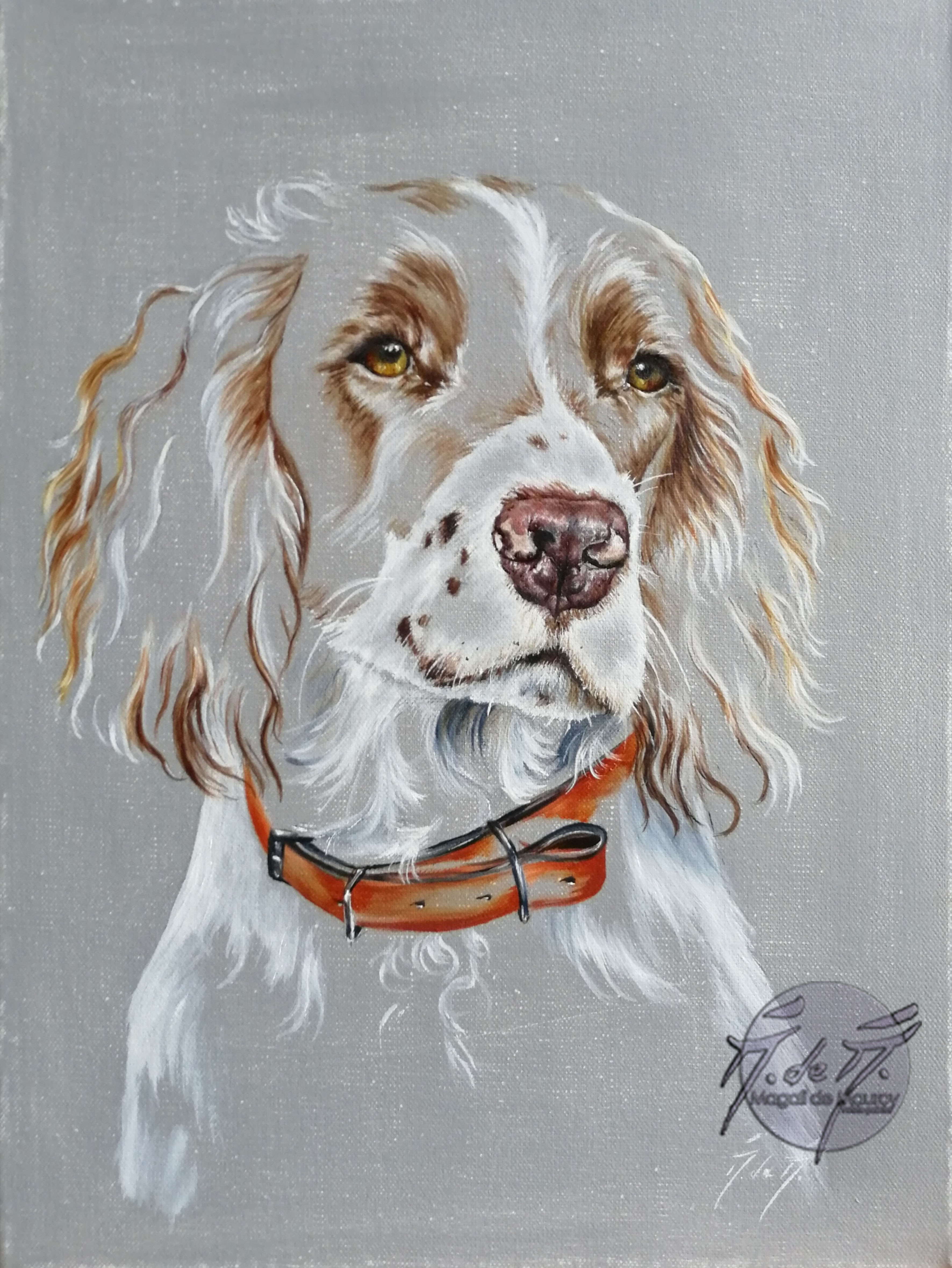 Springer en transparence