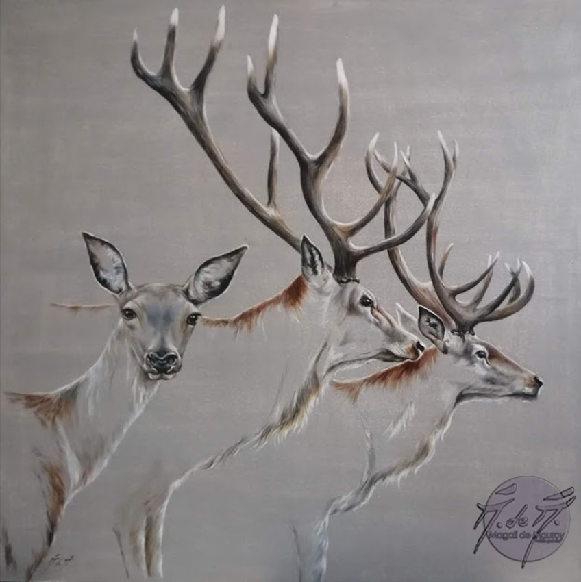 Cerfs et Biche en transparence