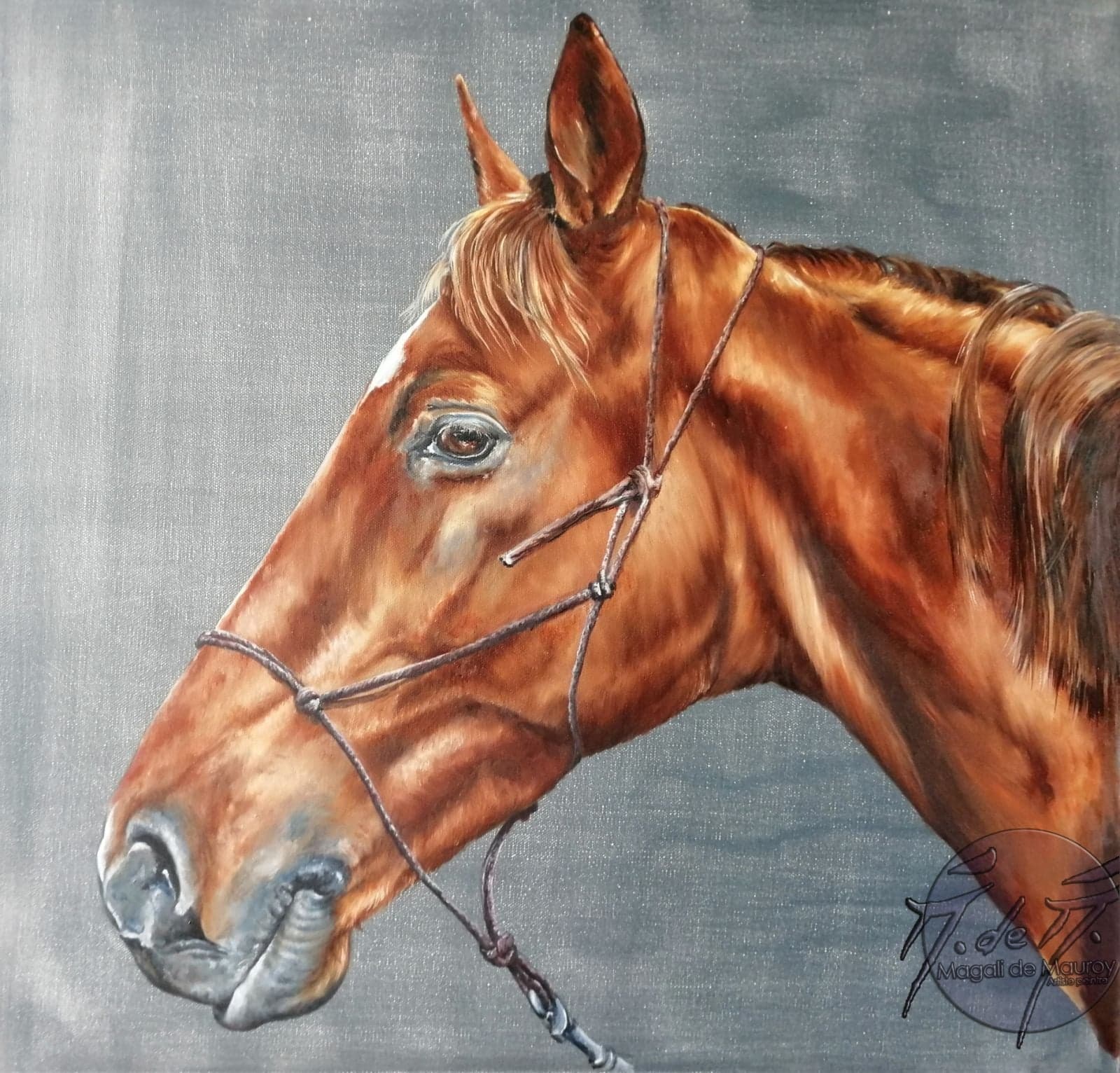 Cheval F