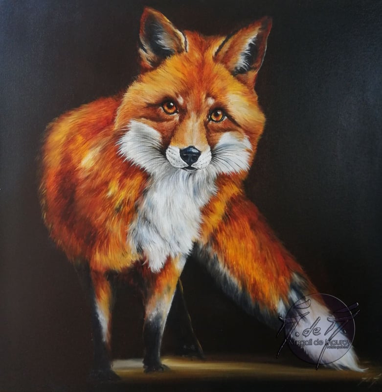 Clair obscur de renard