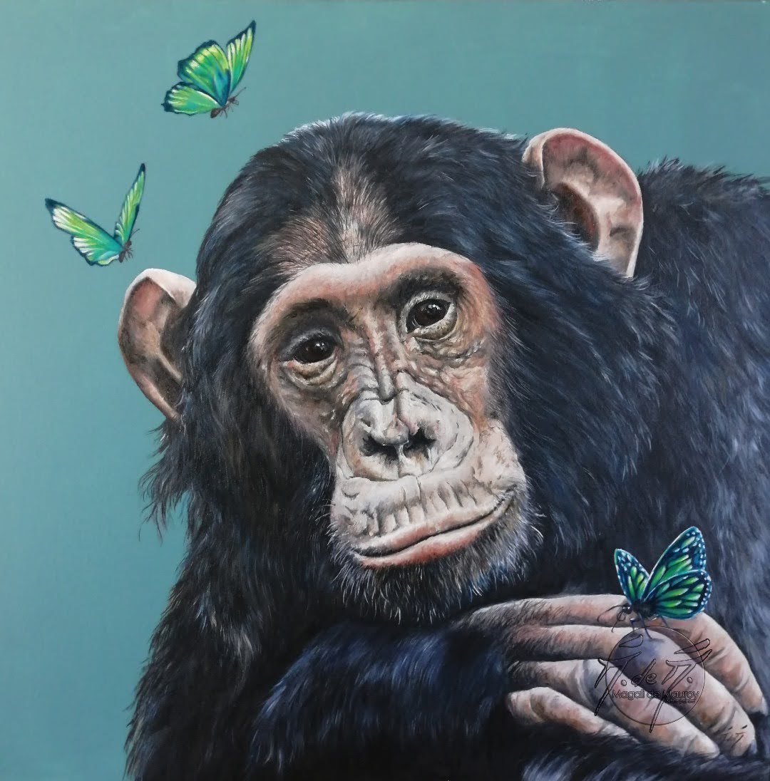 M&eacute;lancolie aux papillons