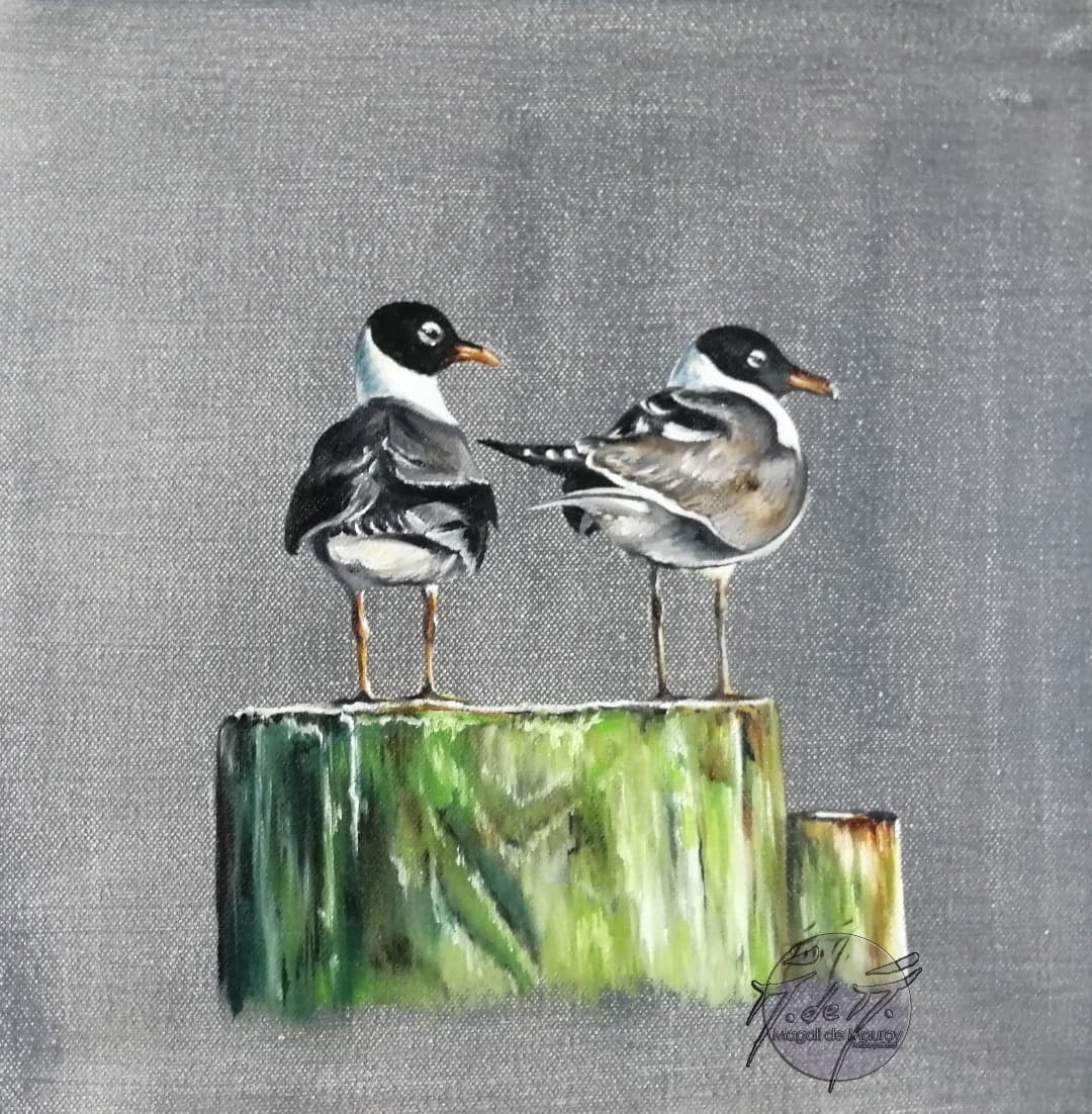 duo de mouettes