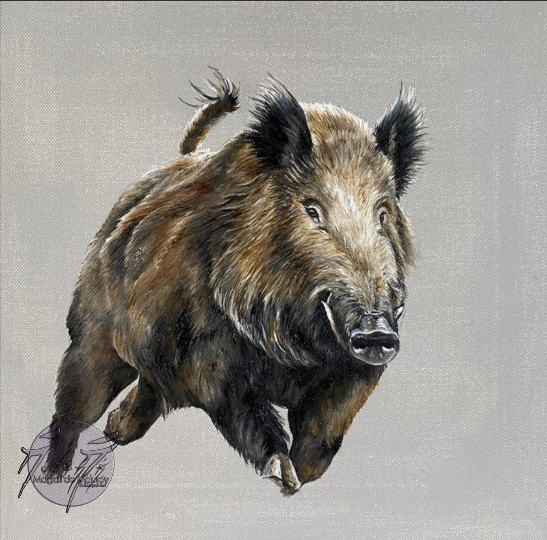 Sanglier
